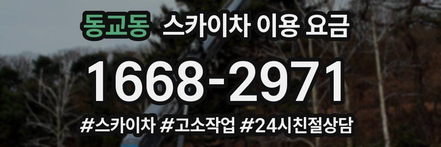 동교동 스카이차 이용 요금