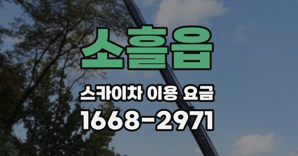 소흘읍 스카이차 이용 요금