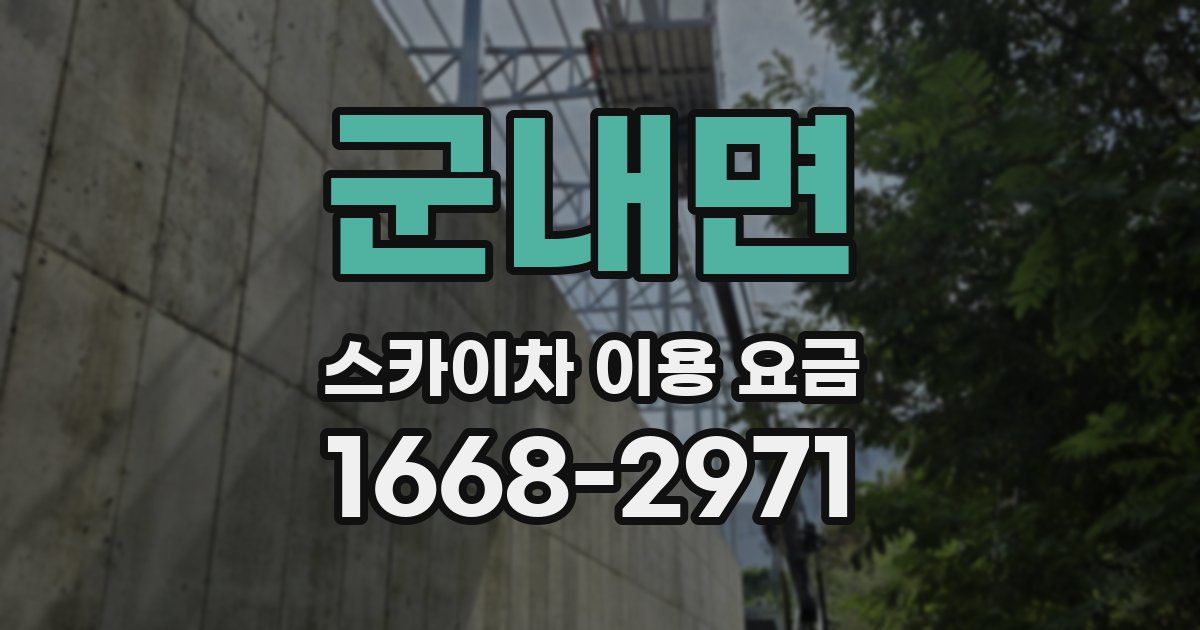 군내면 스카이차 이용 요금