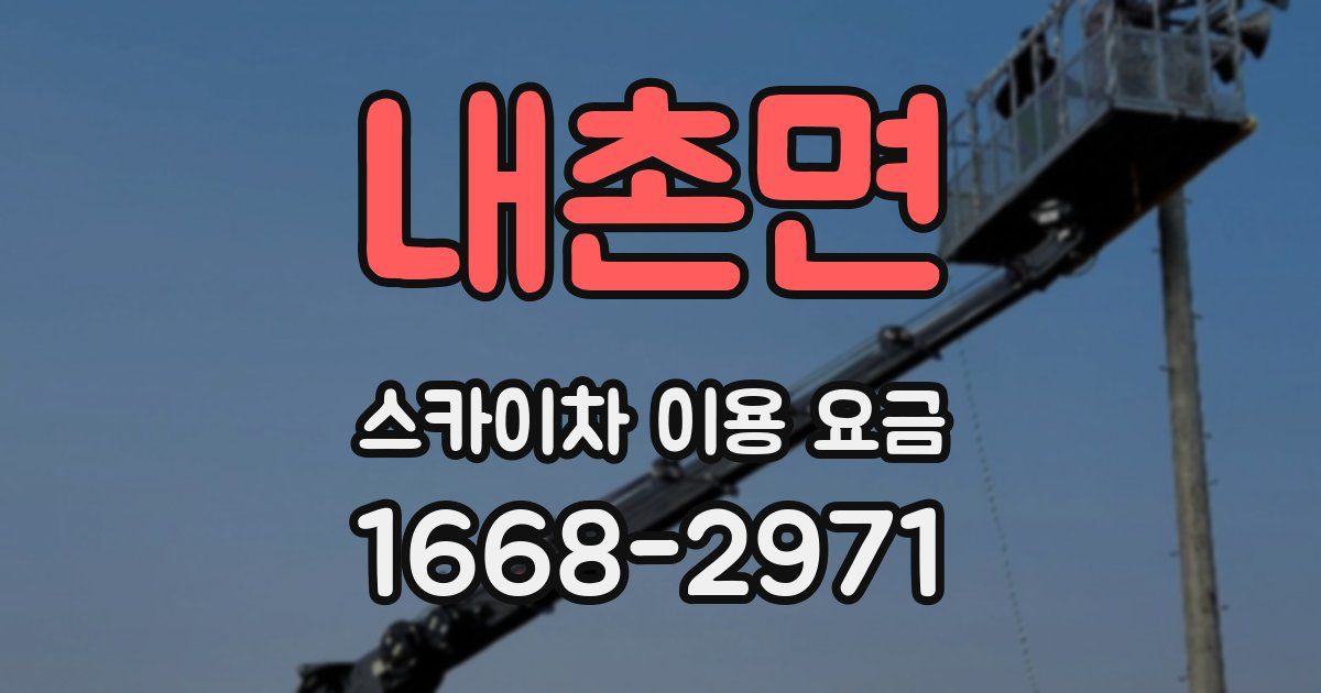 내촌면 스카이차 이용 요금