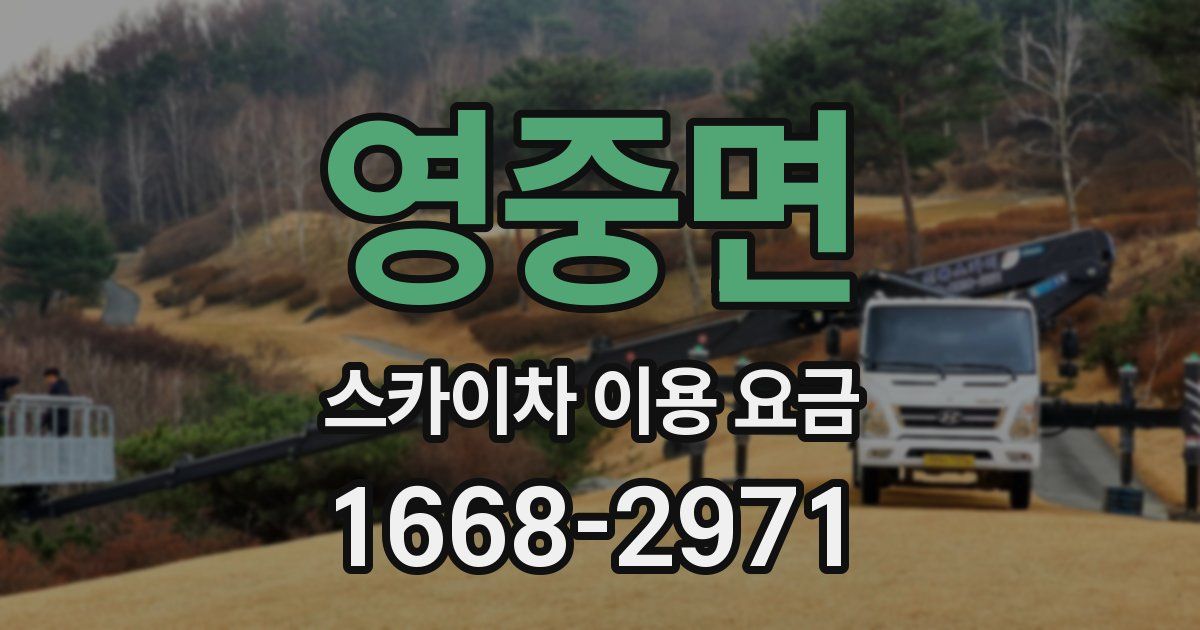 영중면 스카이차 이용 요금