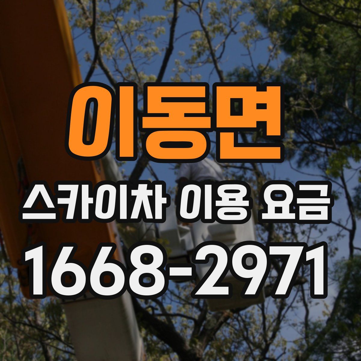 이동면 스카이차 이용 요금