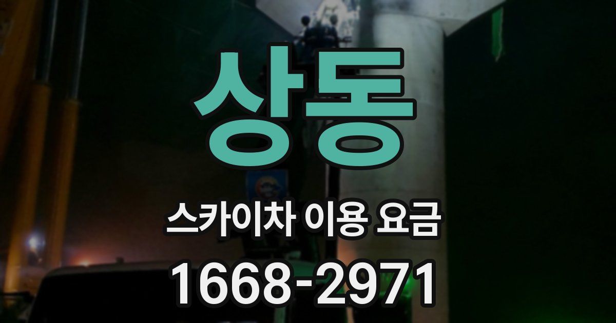 상동 스카이차 이용 요금