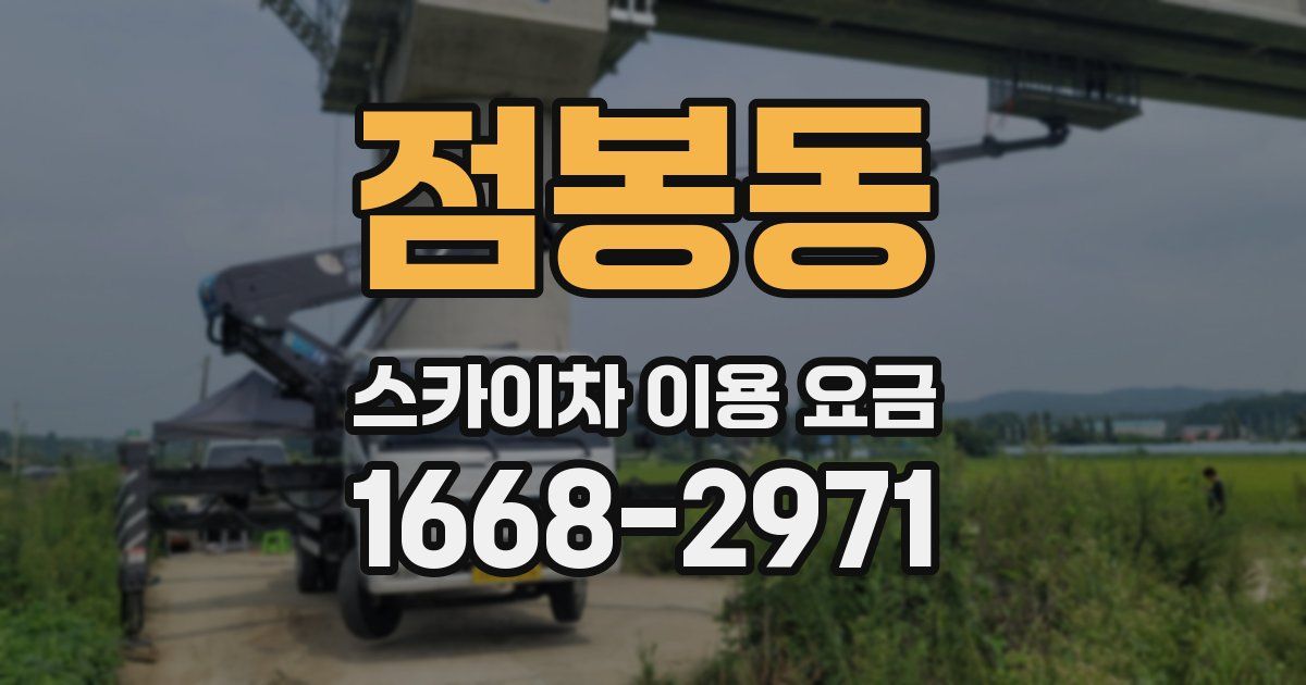 점봉동 스카이차 이용 요금