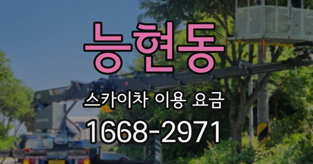 능현동 스카이차 이용 요금