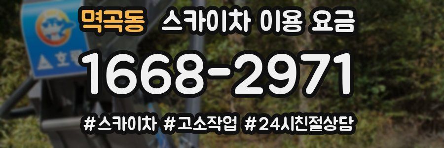 멱곡동 스카이차 이용 요금