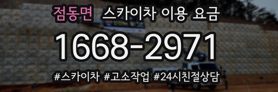 점동면 스카이차 이용 요금