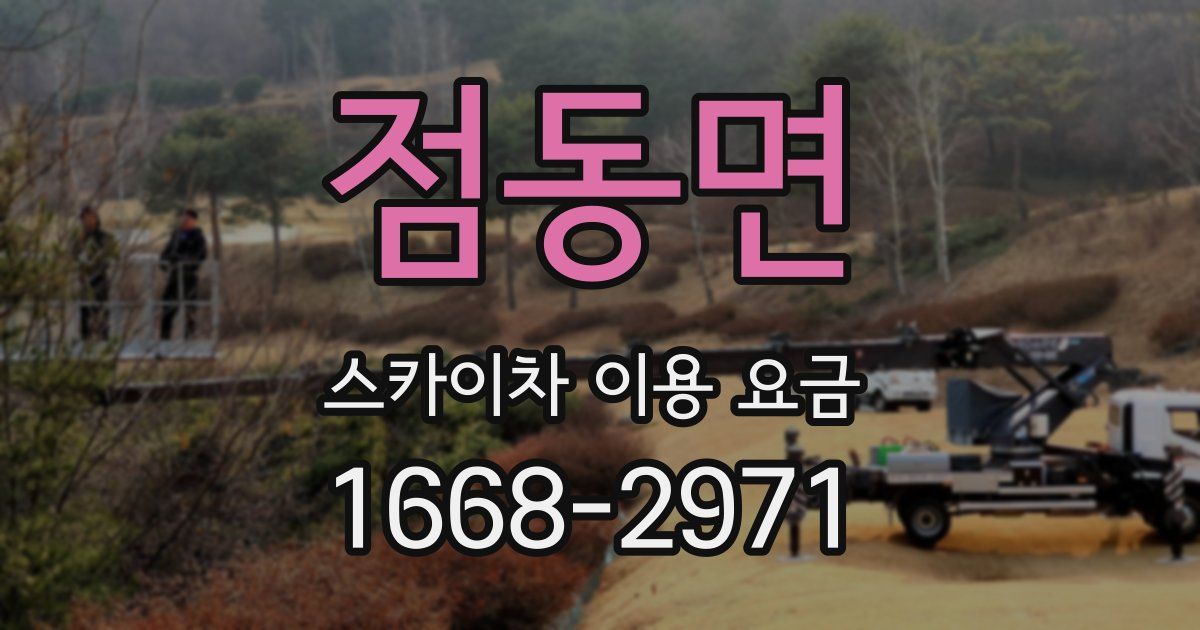 점동면 스카이차 이용 요금