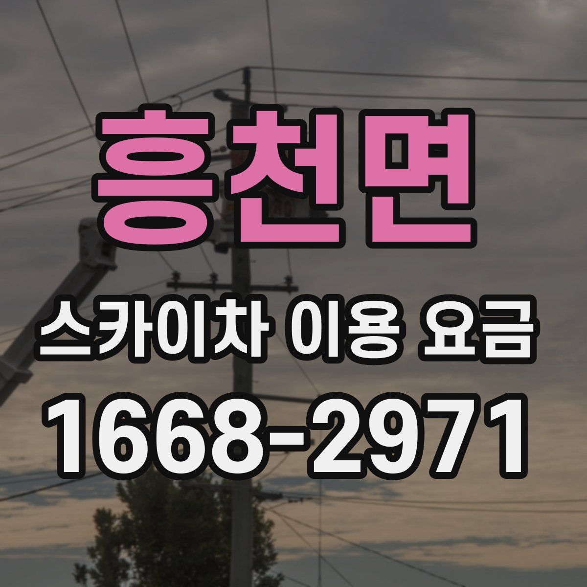 흥천면 스카이차 이용 요금