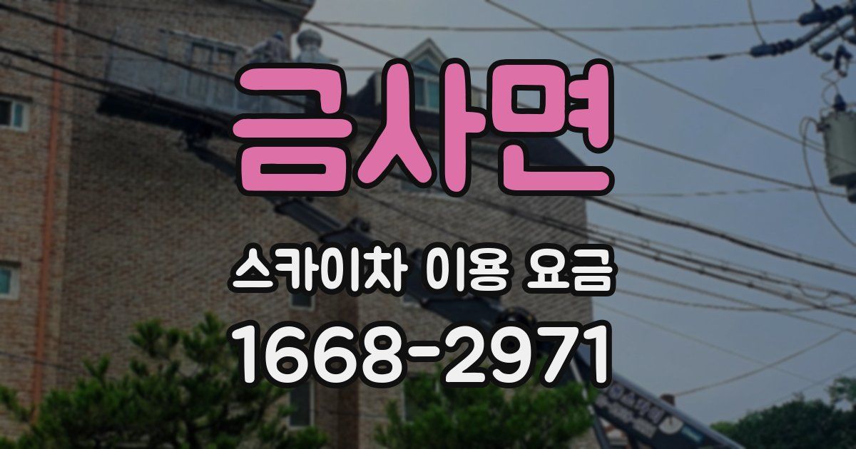 금사면 스카이차 이용 요금