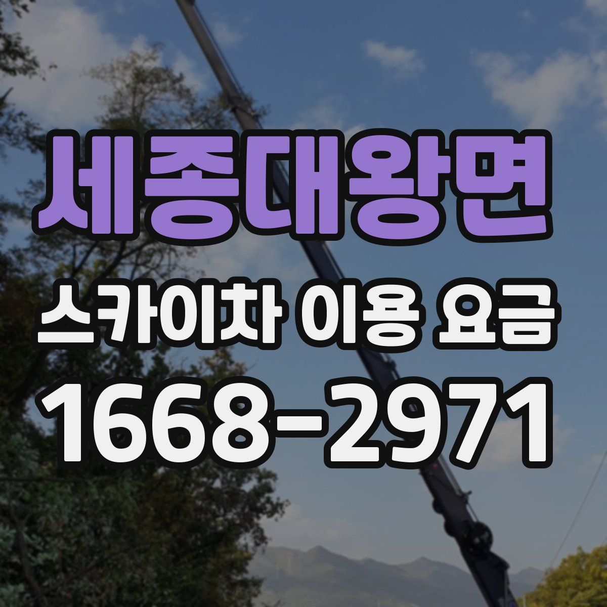 세종대왕면 스카이차 이용 요금