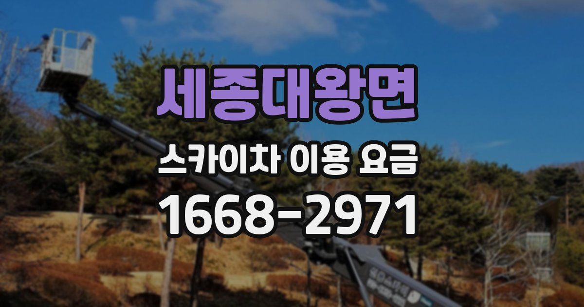 세종대왕면 스카이차 이용 요금