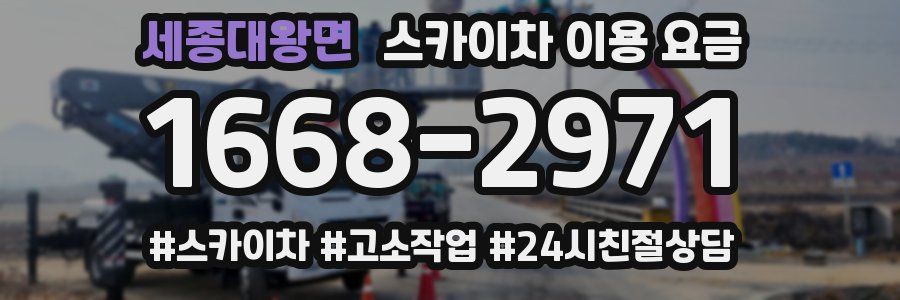 세종대왕면 스카이차 이용 요금