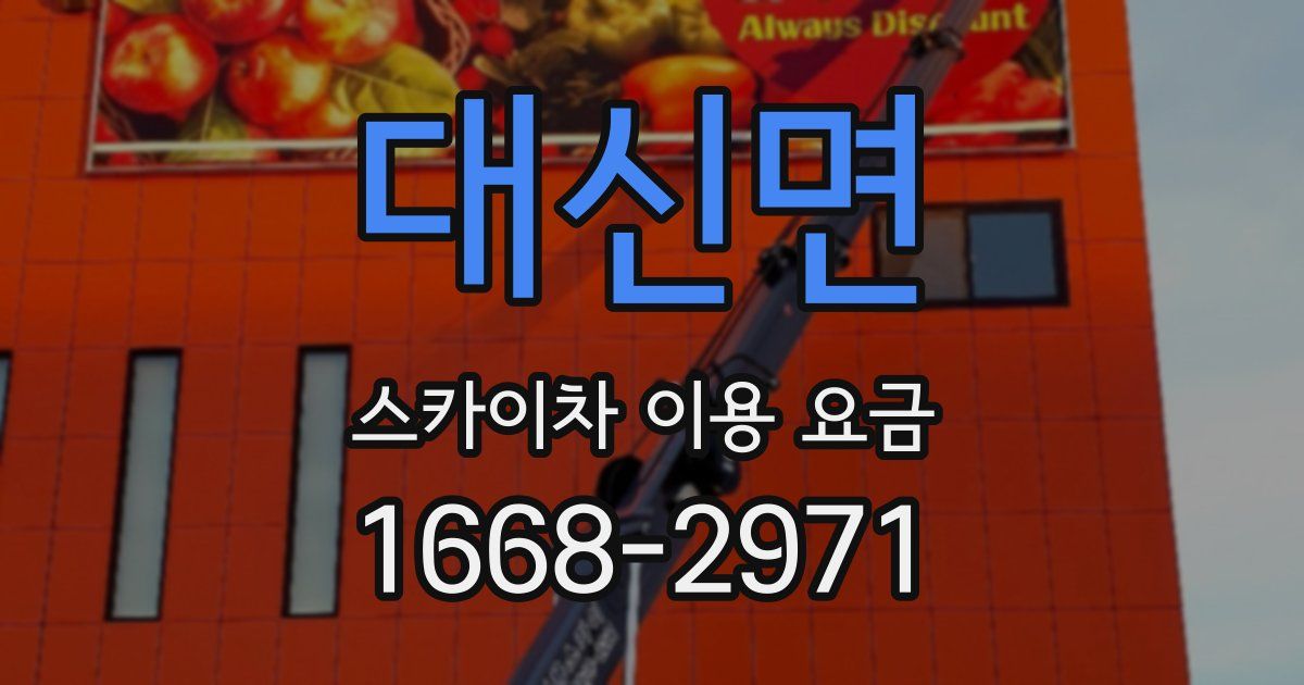 대신면 스카이차 이용 요금