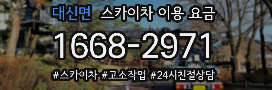 대신면 스카이차 이용 요금