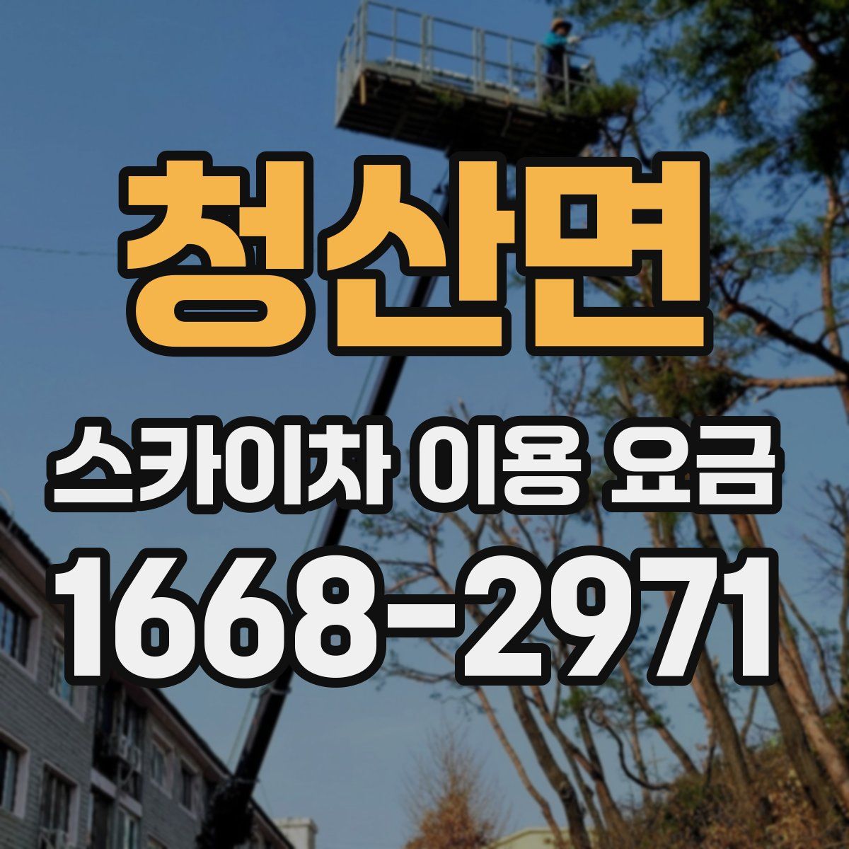 청산면 스카이차 이용 요금