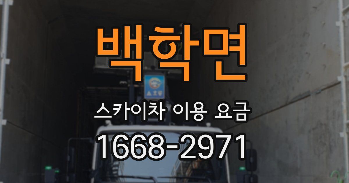 백학면 스카이차 이용 요금
