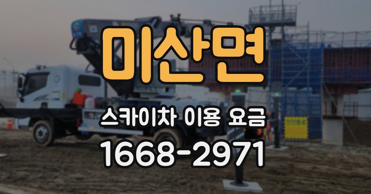 미산면 스카이차 이용 요금