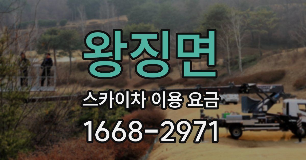 왕징면 스카이차 이용 요금