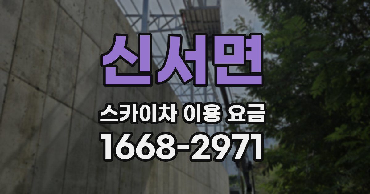 신서면 스카이차 이용 요금