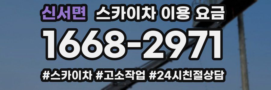 신서면 스카이차 이용 요금