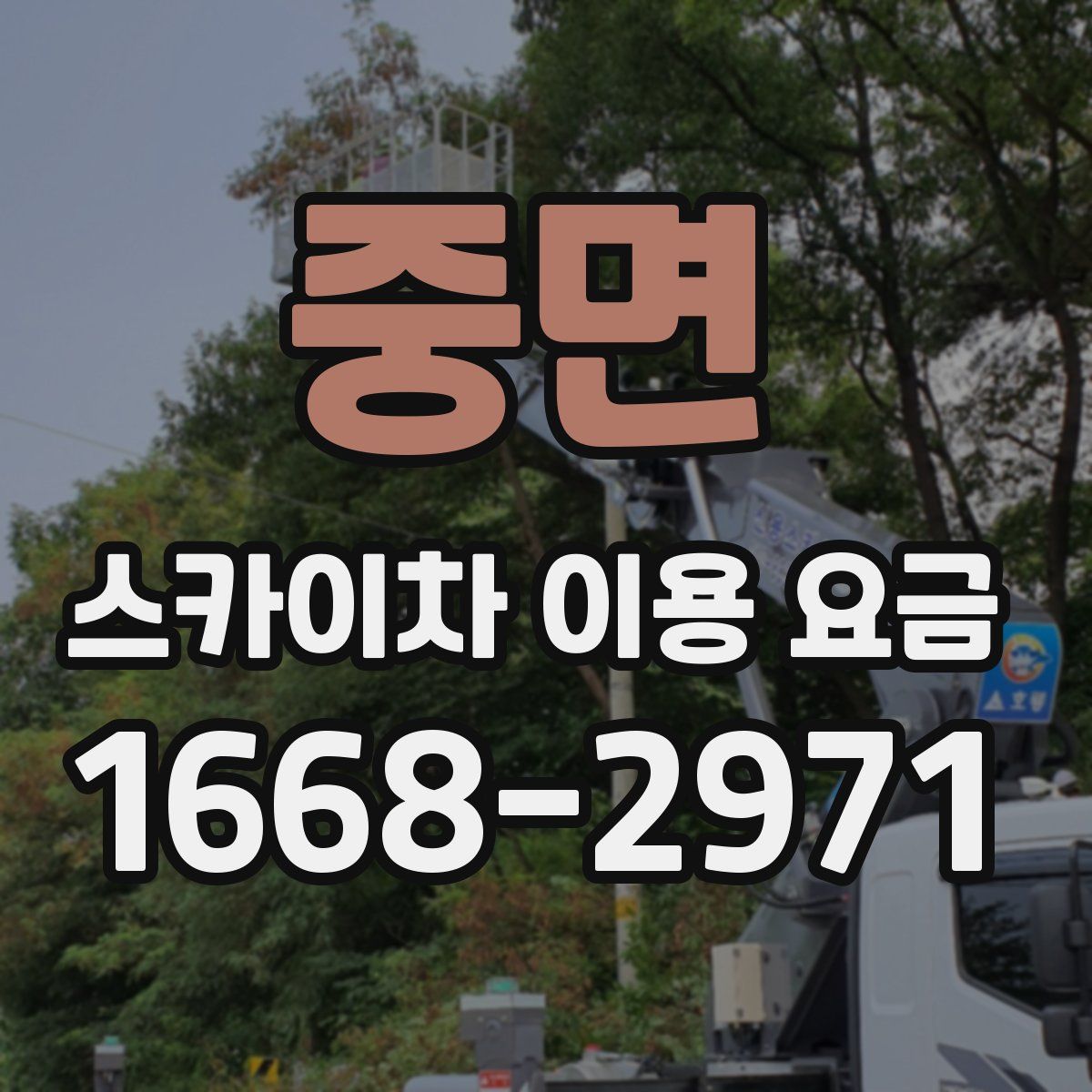 중면 스카이차 이용 요금