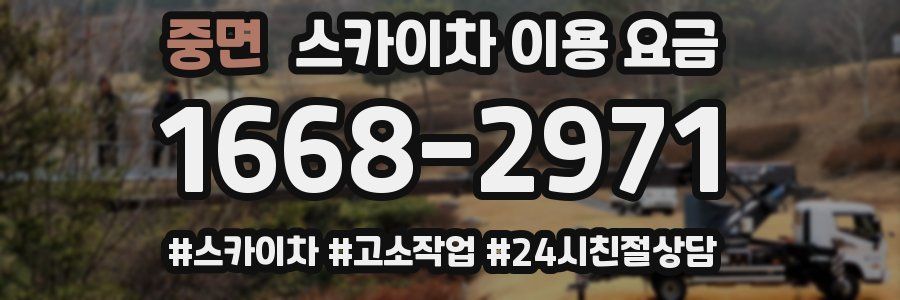 중면 스카이차 이용 요금