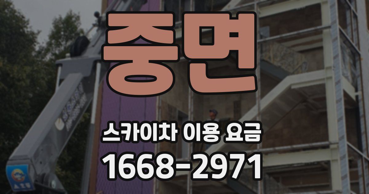 중면 스카이차 이용 요금