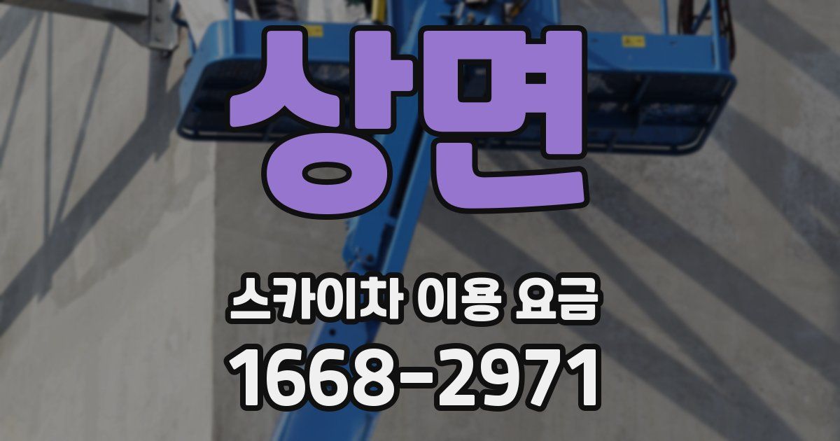 상면 스카이차 이용 요금