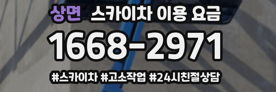 상면 스카이차 이용 요금