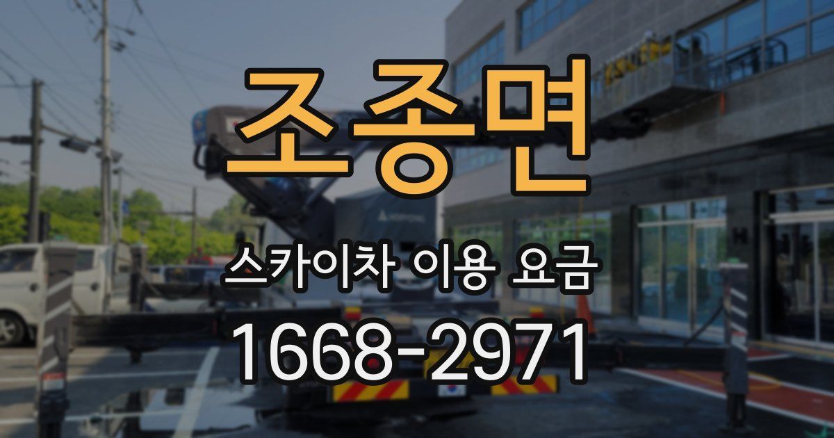 조종면 스카이차 이용 요금