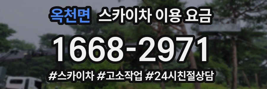 옥천면 스카이차 이용 요금