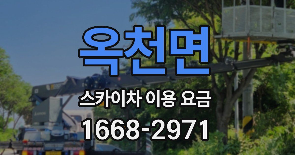 옥천면 스카이차 이용 요금
