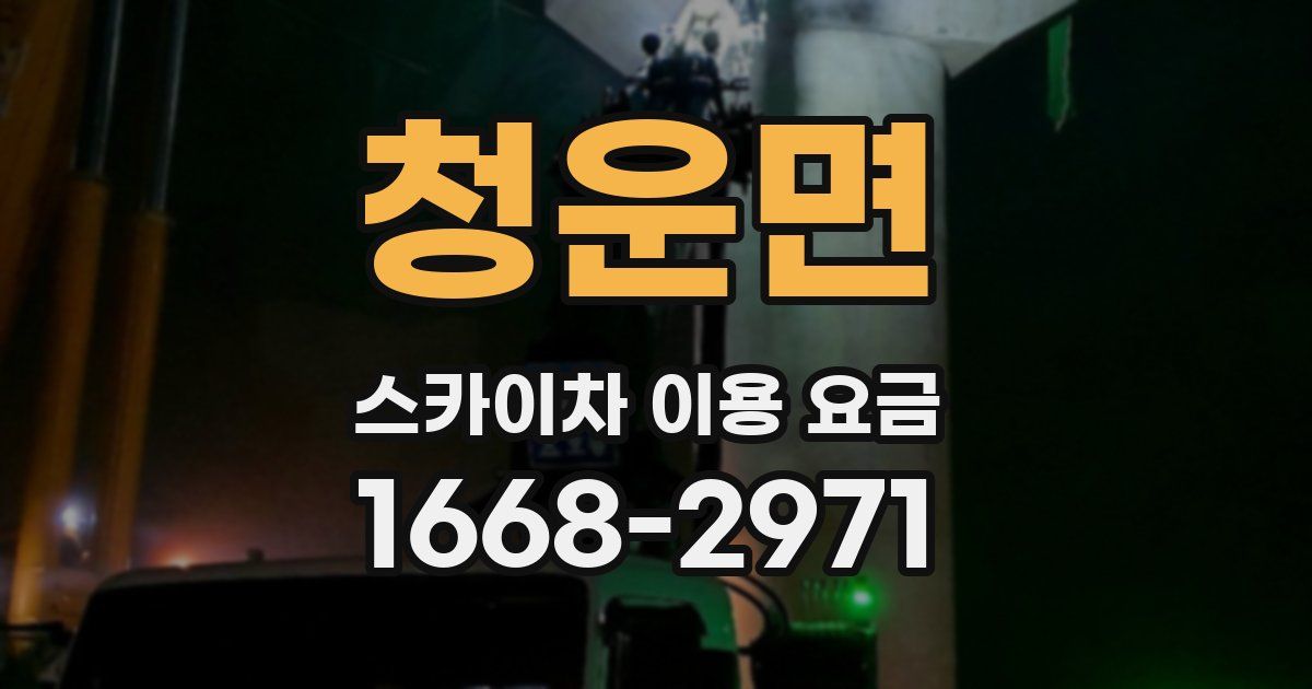 청운면 스카이차 이용 요금