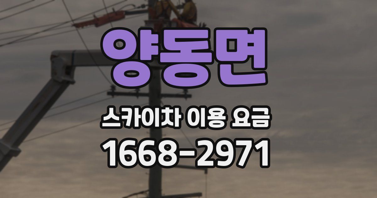 양동면 스카이차 이용 요금