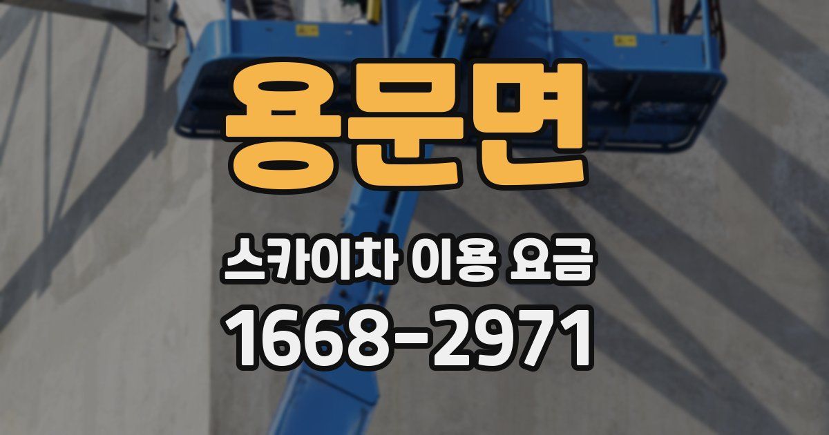 용문면 스카이차 이용 요금