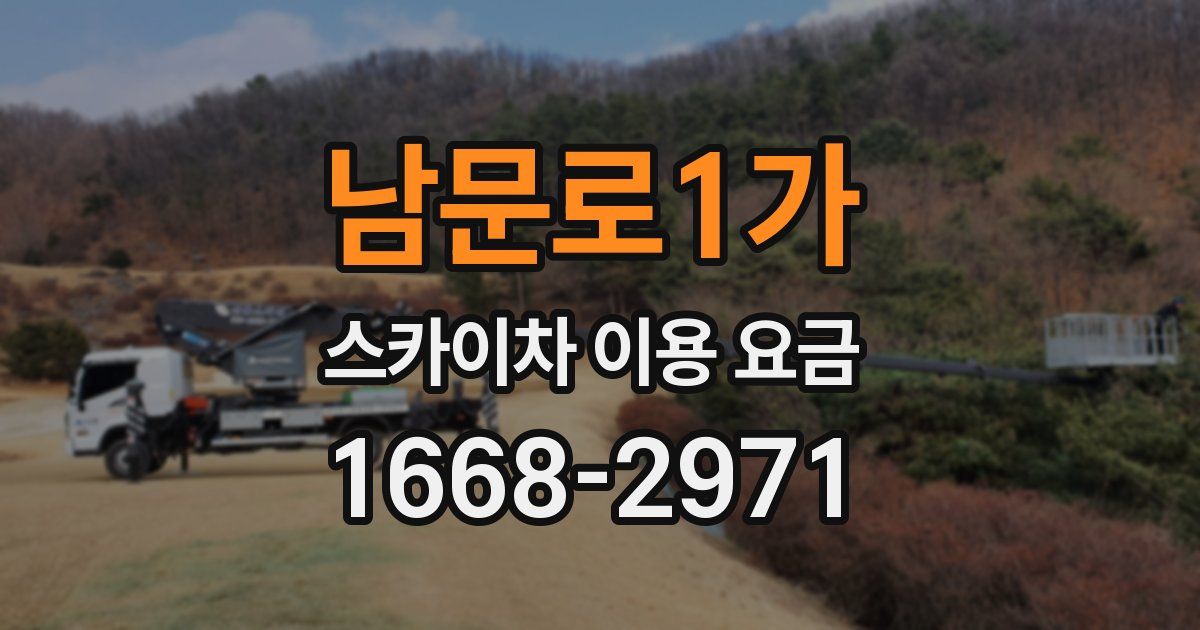 남문로1가 스카이차 이용 요금