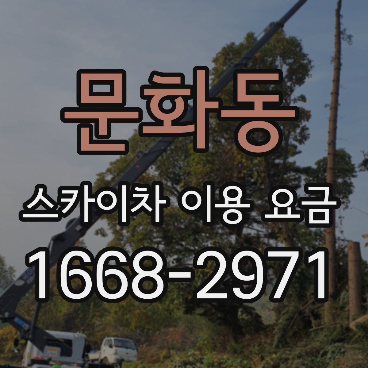 문화동 스카이차 이용 요금