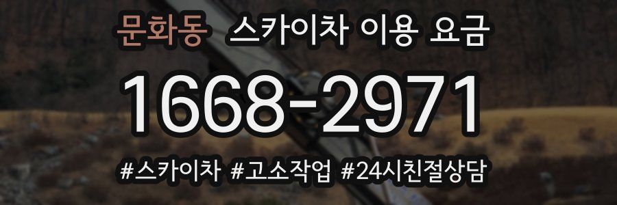 문화동 스카이차 이용 요금