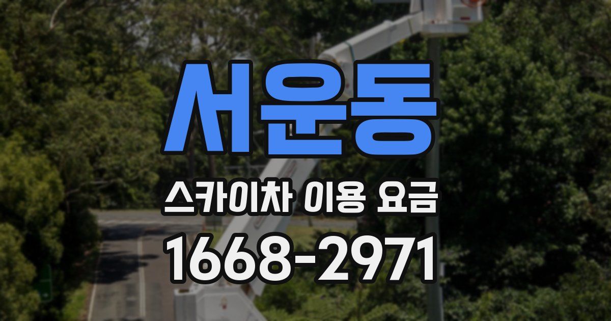 서운동 스카이차 이용 요금