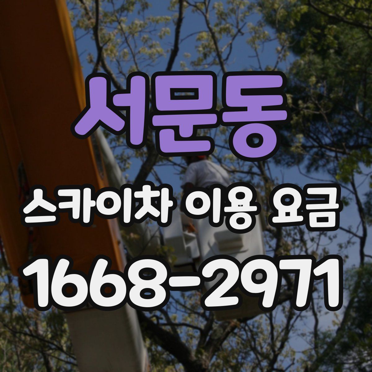 서문동 스카이차 이용 요금