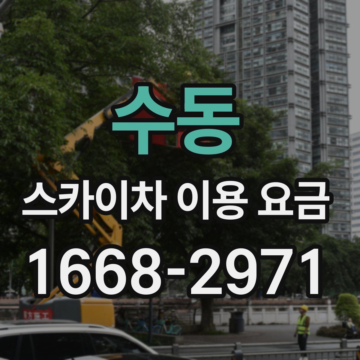 수동 스카이차 이용 요금 비교 전 점검해야 할 내용