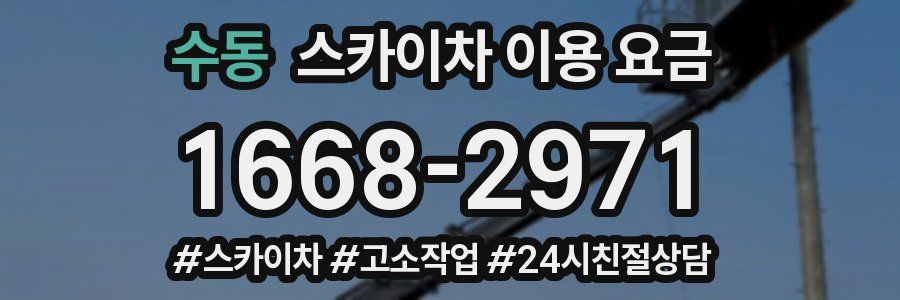 수동 스카이차 이용 요금