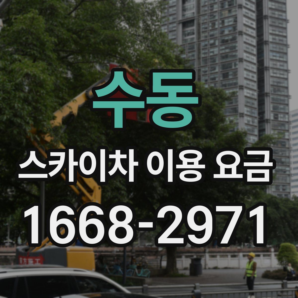 수동 스카이차 이용 요금
