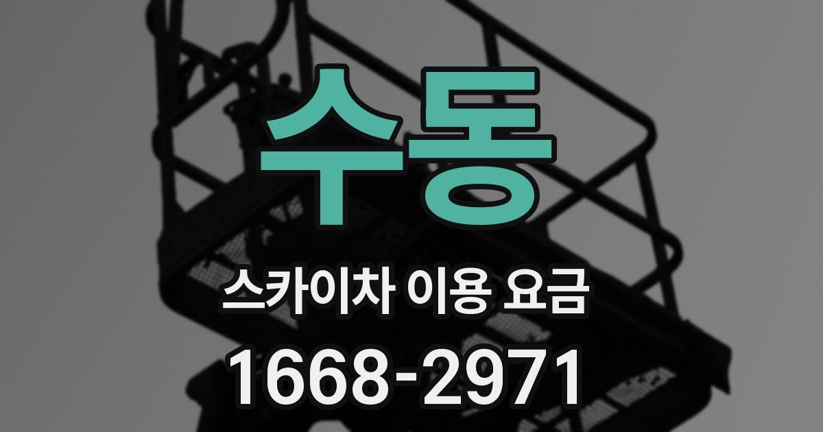 수동 스카이차 이용 요금