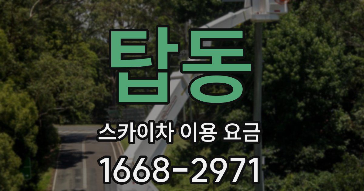 탑동 스카이차 이용 요금