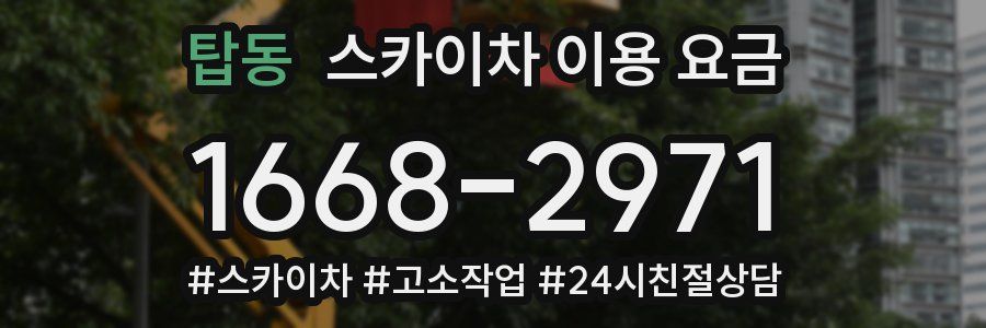 탑동 스카이차 이용 요금