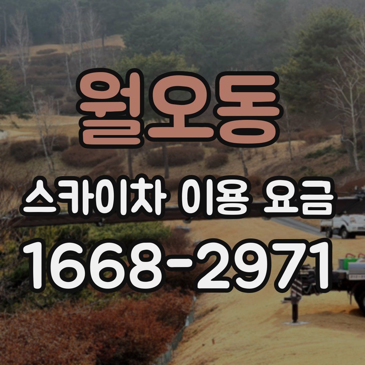 월오동 스카이차 이용 요금 정할 때 확인할 안전 조건