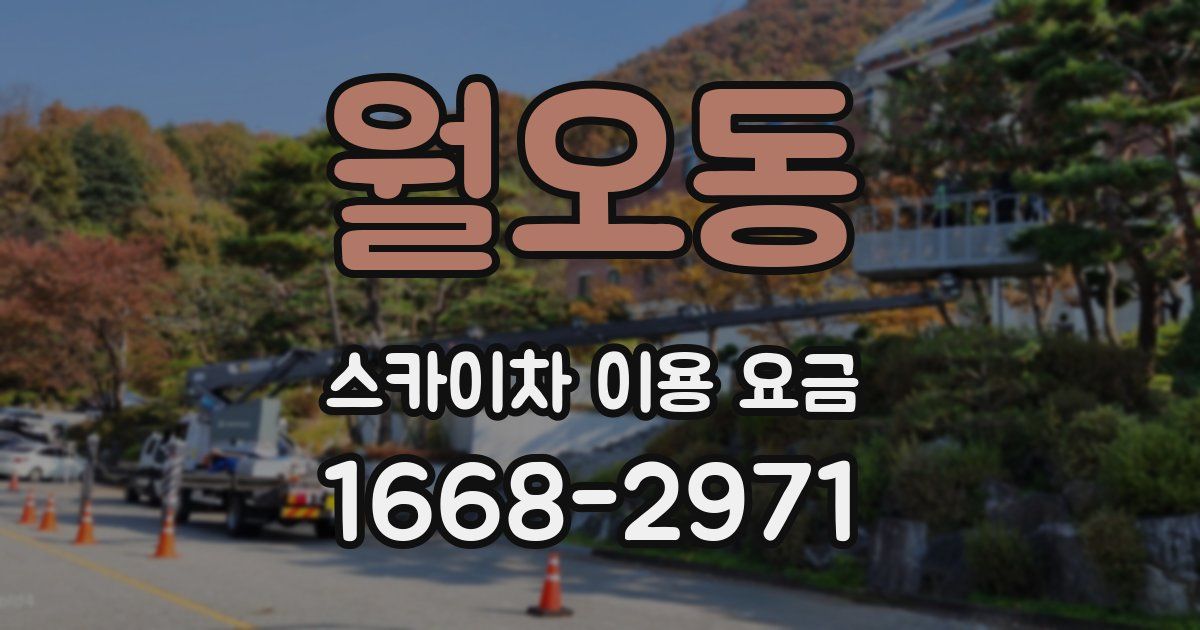 월오동 스카이차 이용 요금