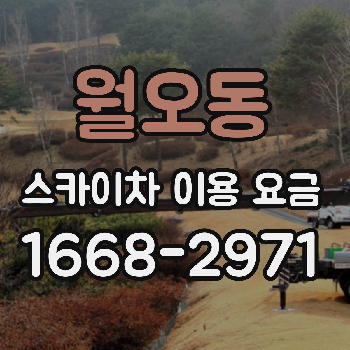 월오동 스카이차 이용 요금
